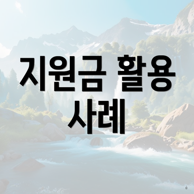 지원금 활용 사례