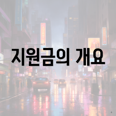 지원금의 개요