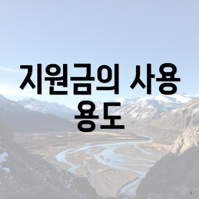 지원금의 사용 용도