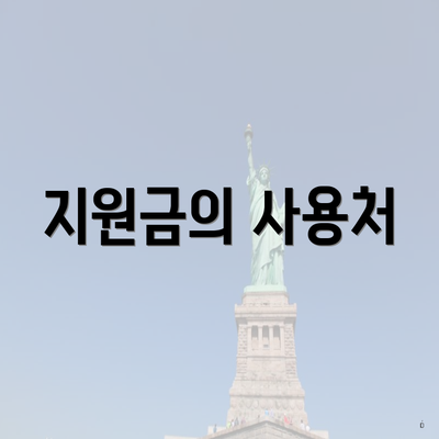 지원금의 사용처