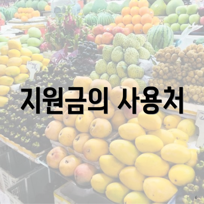 지원금의 사용처