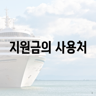 지원금의 사용처