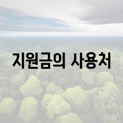 지원금의 사용처