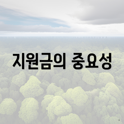 지원금의 중요성