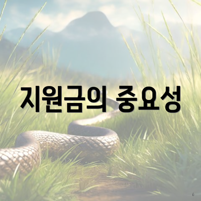 지원금의 중요성