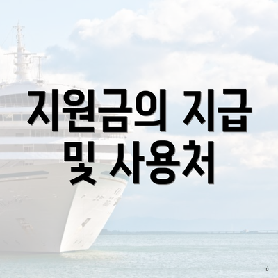 지원금의 지급 및 사용처