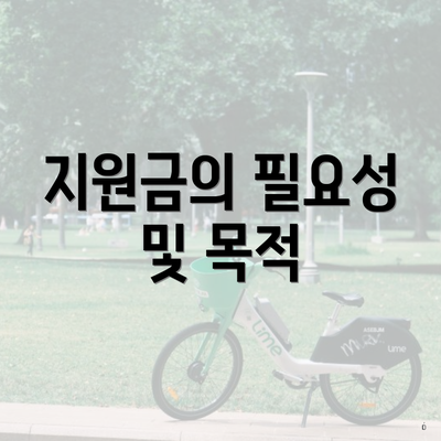 지원금의 필요성 및 목적