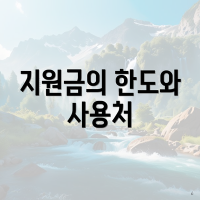 지원금의 한도와 사용처