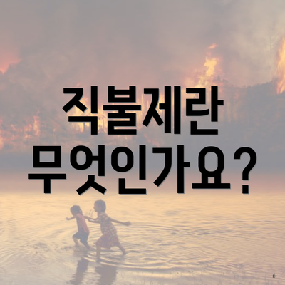 직불제란 무엇인가요?