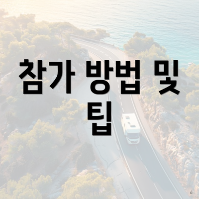 참가 방법 및 팁