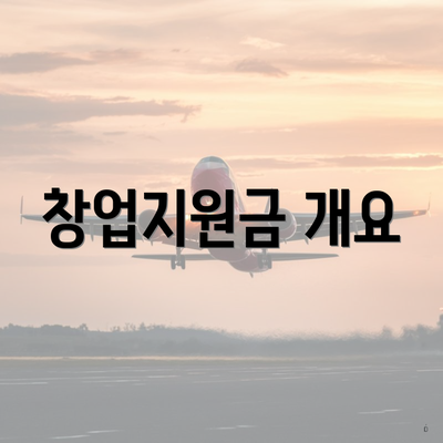 창업지원금 개요