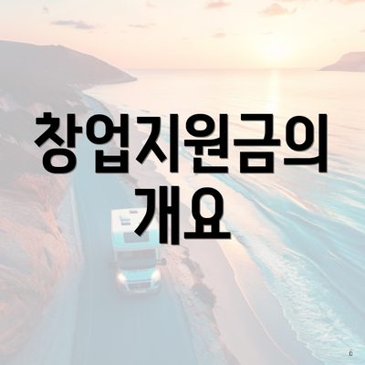 창업지원금의 개요