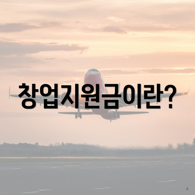 창업지원금이란?