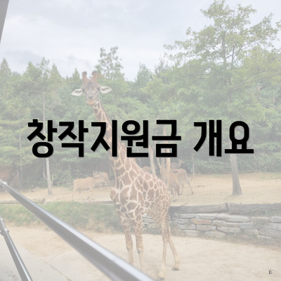 창작지원금 개요