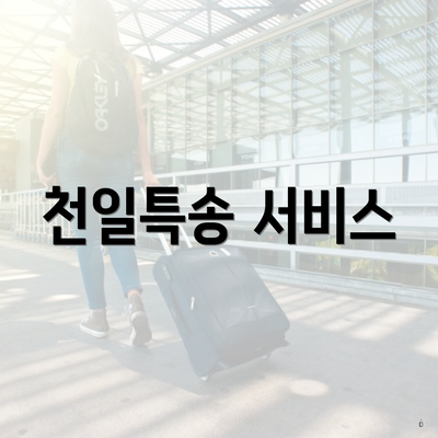 천일특송 서비스