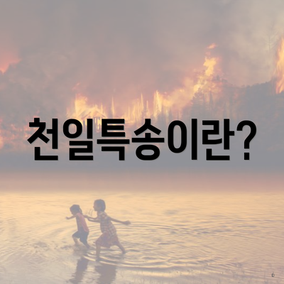 천일특송이란?