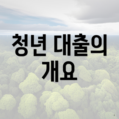 청년 대출의 개요