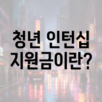 청년 인턴십 지원금이란?