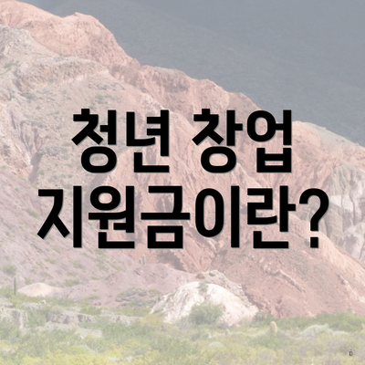 청년 창업 지원금이란?