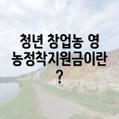 청년 창업농 영농정착지원금이란?