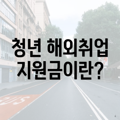 청년 해외취업 지원금이란?
