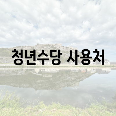 청년수당 사용처