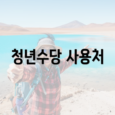 청년수당 사용처