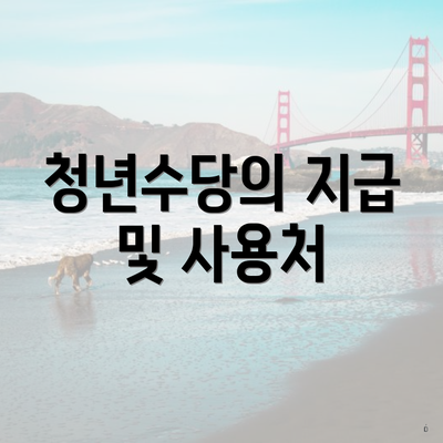 청년수당의 지급 및 사용처