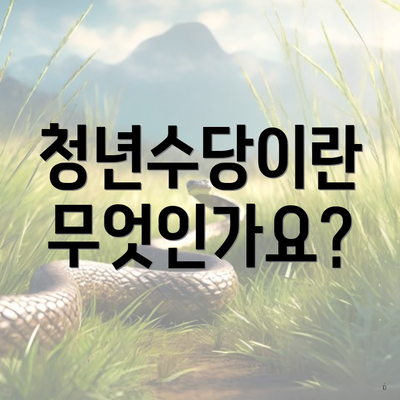 청년수당이란 무엇인가요?