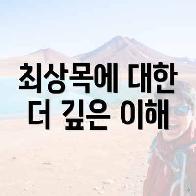 최상목 프로필 나이 학력 인스타 5 최상목에 대한 더 깊은 이해