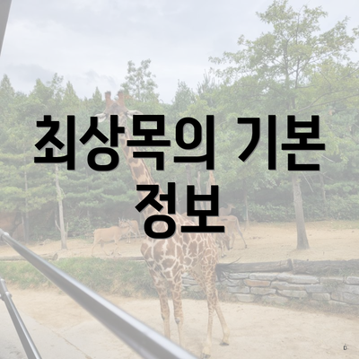 최상목의 기본 정보