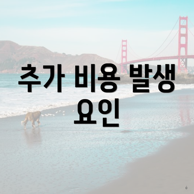 추가 비용 발생 요인