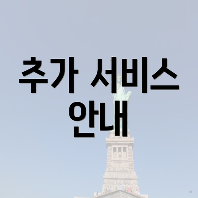 추가 서비스 안내