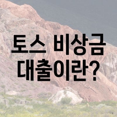 토스 비상금 대출이란?