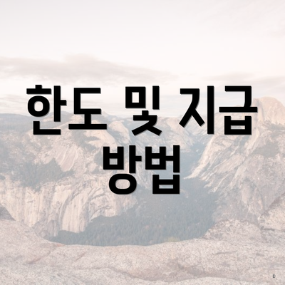 한도 및 지급 방법
