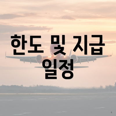 한도 및 지급 일정