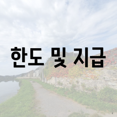 한도 및 지급