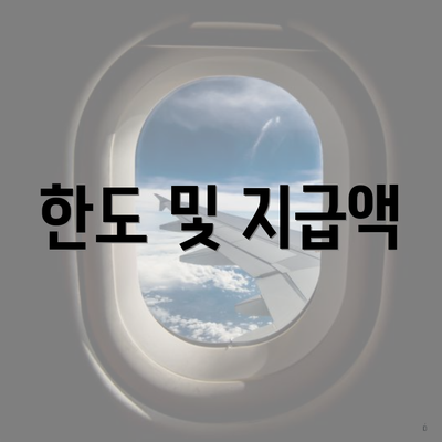 한도 및 지급액