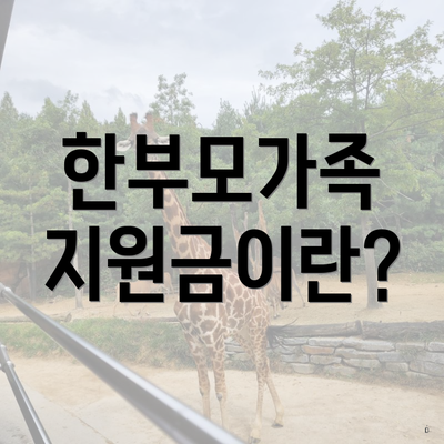 한부모가족 지원금이란?