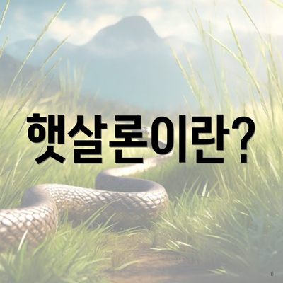 햇살론이란?