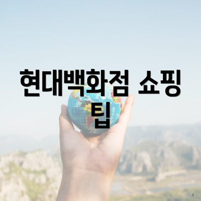 현대백화점 쇼핑 팁
