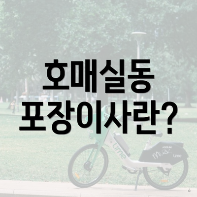 호매실동 포장이사란?