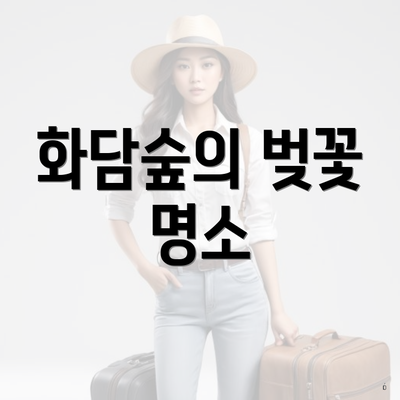 화담숲의 벚꽃 명소