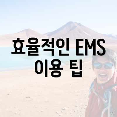 효율적인 EMS 이용 팁